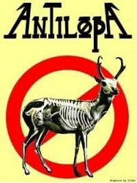 antilopa